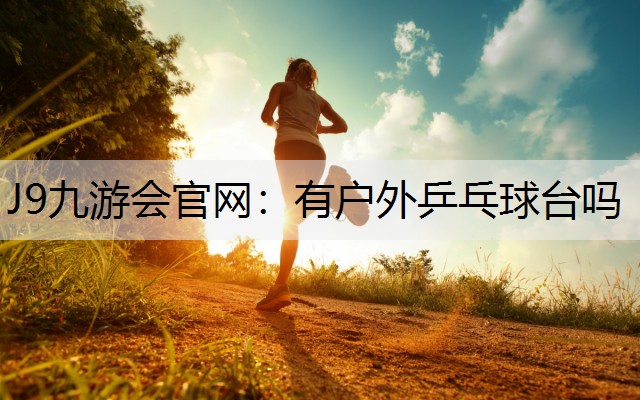 有户外乒乓球台吗