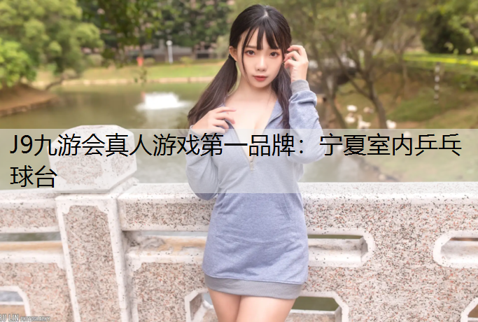 宁夏室内乒乓球台