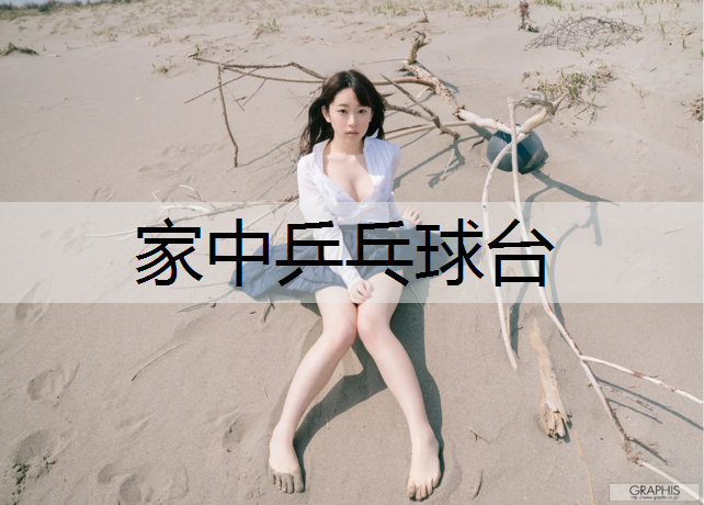 家中乒乓球台